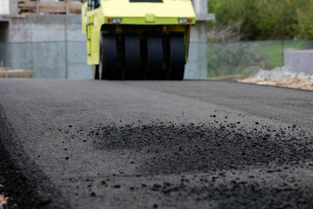 Best Best Driveway Pavers  in Dodson Branch, TN