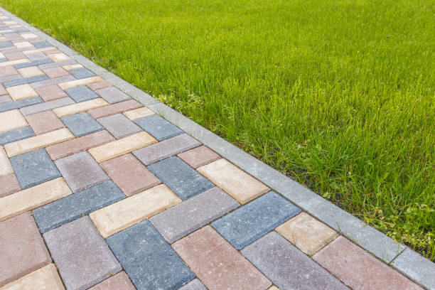 Best Permeable Paver Driveway  in Dodson Branch, TN